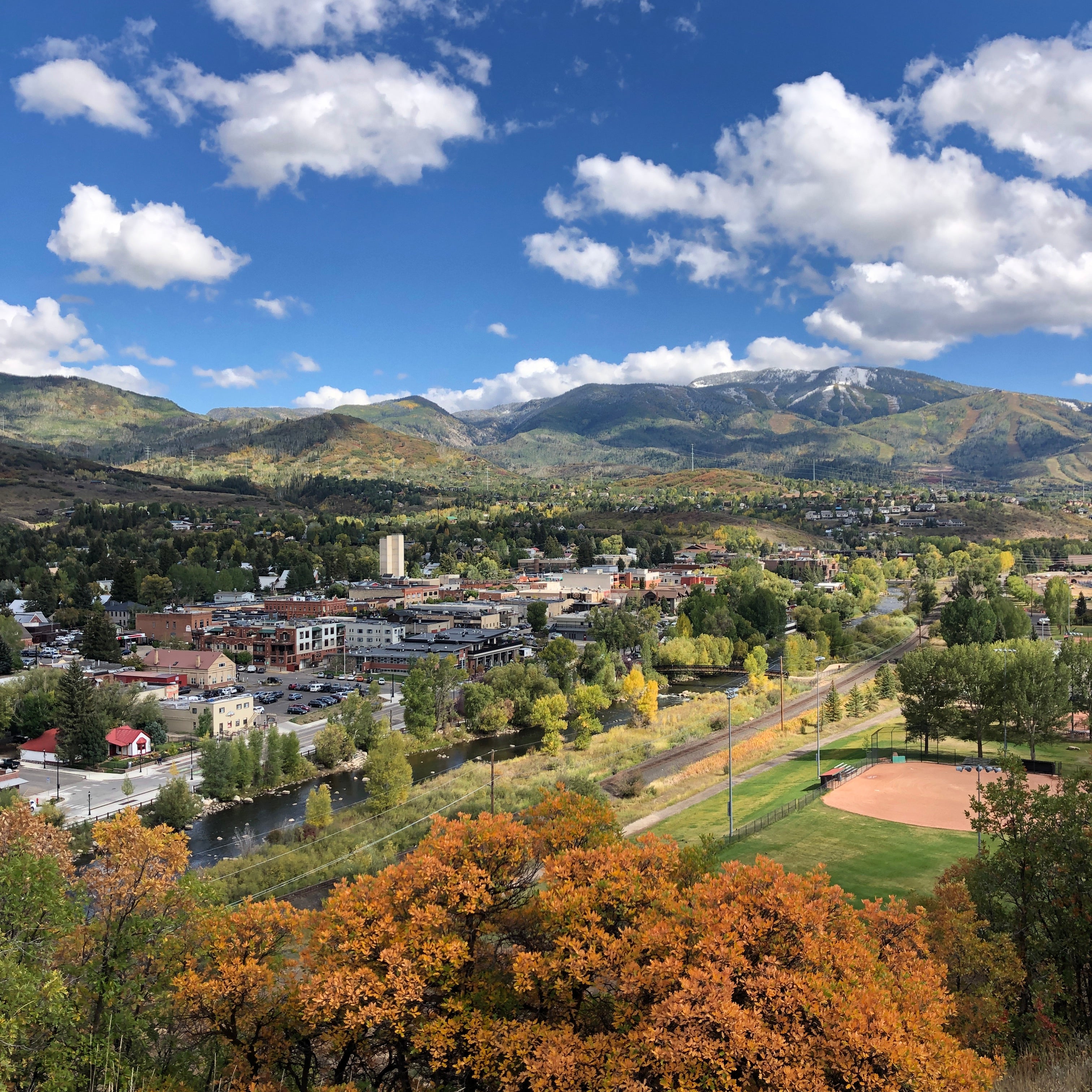 Community is Everything: Vote